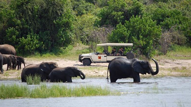 Muchenje Safari