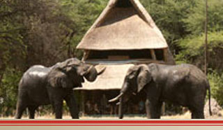 Victoria Falls Hotel and hwange safari